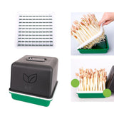 Maxbell Sprout Tray with Lid Multifunctional PP Planting Pot for Kitchen Home Indoor Peanut plate
