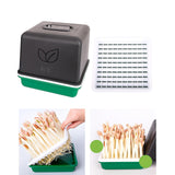 Maxbell Sprout Tray with Lid Multifunctional PP Planting Pot for Kitchen Home Indoor Peanut plate