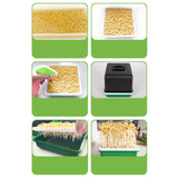 Maxbell Sprout Tray with Lid Multifunctional PP Planting Pot for Kitchen Home Indoor bean sprouts plate