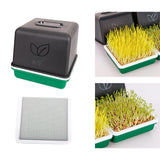 Maxbell Sprout Tray with Lid Multifunctional PP Planting Pot for Kitchen Home Indoor bean sprouts plate