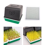 Maxbell Sprout Tray with Lid Multifunctional PP Planting Pot for Kitchen Home Indoor bean sprouts plate