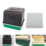 Maxbell Sprout Tray with Lid Multifunctional PP Planting Pot for Kitchen Home Indoor bean sprouts plate