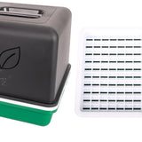 Maxbell Sprout Tray with Lid Multifunctional PP Planting Pot for Kitchen Home Indoor two plates