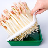 Maxbell Sprout Tray with Lid Multifunctional PP Planting Pot for Kitchen Home Indoor two plates