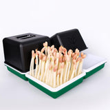 Maxbell Sprout Tray with Lid Multifunctional PP Planting Pot for Kitchen Home Indoor two plates