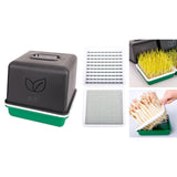 Maxbell Sprout Tray with Lid Multifunctional PP Planting Pot for Kitchen Home Indoor two plates