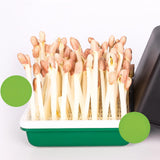 Maxbell Sprout Tray with Lid Multifunctional PP Planting Pot for Kitchen Home Indoor two plates