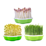 Maxbell Seed Sprouter Tray Seed Germination Tray for Beans Alfalfa Seeds Microgreens