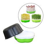 Maxbell Seed Sprouter Tray Seed Germination Tray for Beans Alfalfa Seeds Microgreens