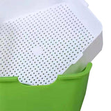 Maxbell Seed Sprouter Tray with Lid Kit Garden Plant Germination Wheatgrass Sprouter Green