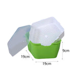 Maxbell Seed Sprouter Tray with Lid Kit Garden Plant Germination Wheatgrass Sprouter Green
