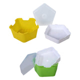 Maxbell Seed Sprouter Tray with Lid Kit Garden Plant Germination Wheatgrass Sprouter Green