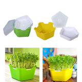 Maxbell Seed Sprouter Tray with Lid Kit Garden Plant Germination Wheatgrass Sprouter Green