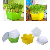 Maxbell Seed Sprouter Tray with Lid Kit Garden Plant Germination Wheatgrass Sprouter Green
