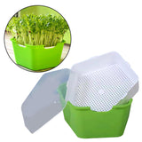 Maxbell Seed Sprouter Tray with Lid Kit Garden Plant Germination Wheatgrass Sprouter Green