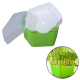 Maxbell Seed Sprouter Tray with Lid Kit Garden Plant Germination Wheatgrass Sprouter Green