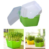 Maxbell Seed Sprouter Tray with Lid Kit Garden Plant Germination Wheatgrass Sprouter Green