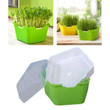 Maxbell Seed Sprouter Tray with Lid Kit Garden Plant Germination Wheatgrass Sprouter Green