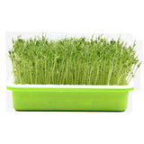 Maxbell Seed Sprouter Tray Big Capacity Seed Germination Tray for Office Garden Home