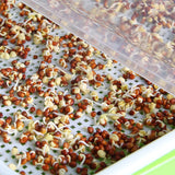 Maxbell Seed Sprouter Tray Big Capacity Seed Germination Tray for Office Garden Home