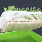 Maxbell Seed Sprouter Tray Big Capacity Seed Germination Tray for Office Garden Home