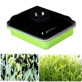 Maxbell Seed Sprouter Tray Big Capacity Seed Germination Tray for Office Garden Home