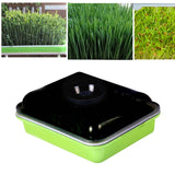 Maxbell Seed Sprouter Tray Big Capacity Seed Germination Tray for Office Garden Home