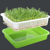 Maxbell Seed Sprouter Tray Big Capacity Seed Germination Tray for Office Garden Home