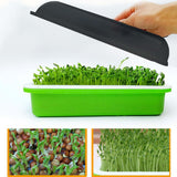 Maxbell Seed Sprouter Tray Big Capacity Seed Germination Tray for Office Garden Home