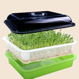 Maxbell Seed Sprouter Tray Big Capacity Seed Germination Tray for Office Garden Home