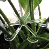 Maxbell 6Pcs Plant Support Stakes Clear Garden Stakes for Tomato Outdoor Plant Peony