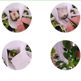 Maxbell 2xVertical Garden Planter Hydroponics Growing Tower for Peppers Indoor Outdoor 5 Holes Single Tier