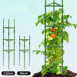 Maxbell Tomato Cage Versatile Plant Stakes Support Cages Trellis for Climbing Plants Height 120cm