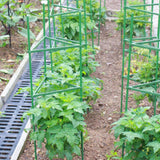 Maxbell Tomato Cage Versatile Plant Stakes Support Cages Trellis for Climbing Plants Height 120cm