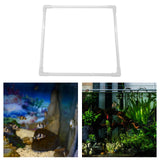 Maxbell Aquarium Floating Plant Barrier Corral Floating Plant Ring Fish Feeding Ring