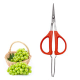 Maxbell Garden Scissors Household Deadheading Non Slip Handle Branch Bonsai Scissors