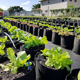 Maxbell Plant Grow Bag Reusable Outdoor Garden Plant Pot for Flower Strawberry Chili 50cmx50cmx30cm