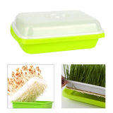 Maxbell Seedling Tray Gardening Tool Propagation Tray for Garden Office Cat Supplies With Tray and Lid