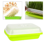 Maxbell Seedling Tray Gardening Tool Propagation Tray for Garden Office Cat Supplies With Tray and Lid