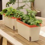 Maxbell Self Watering Planter Plant Pot Yard Window Indoor Outdoor Plants Flower Pot Coffee