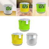Maxbell Seed Sprouter Set Large Capacity Hydroponic Peanut Sprout Box for Wheatgrass Green