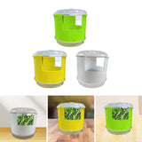 Maxbell Seed Sprouter Set Large Capacity Hydroponic Peanut Sprout Box for Wheatgrass Green