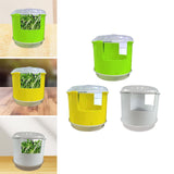 Maxbell Seed Sprouter Set Large Capacity Hydroponic Peanut Sprout Box for Wheatgrass Green
