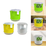 Maxbell Seed Sprouter Set Large Capacity Hydroponic Peanut Sprout Box for Wheatgrass Green
