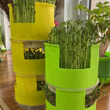 Maxbell Seed Sprouter Set Large Capacity Hydroponic Peanut Sprout Box for Wheatgrass Green