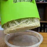 Maxbell Seed Sprouter Set Large Capacity Hydroponic Peanut Sprout Box for Wheatgrass Green