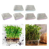 Maxbell 2 Pieces Garden Seed Sprouter Tray with Lid Beans Seedling Plant Germination Blue