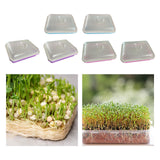 Maxbell 2 Pieces Garden Seed Sprouter Tray with Lid Beans Seedling Plant Germination Blue