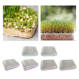 Maxbell 2 Pieces Garden Seed Sprouter Tray with Lid Beans Seedling Plant Germination Blue