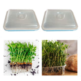Maxbell 2 Pieces Garden Seed Sprouter Tray with Lid Beans Seedling Plant Germination Blue
